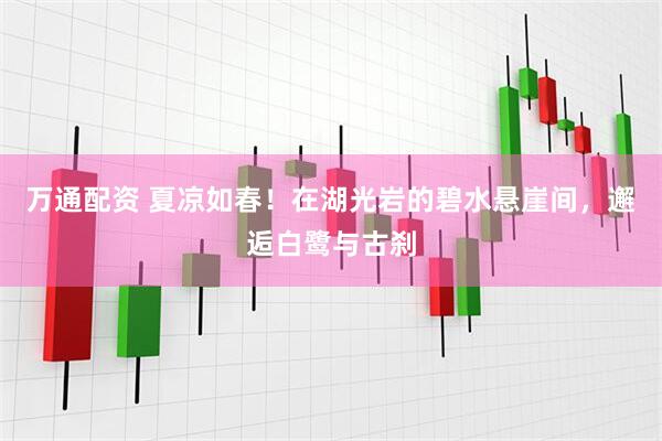 万通配资 夏凉如春！在湖光岩的碧水悬崖间，邂逅白鹭与古刹